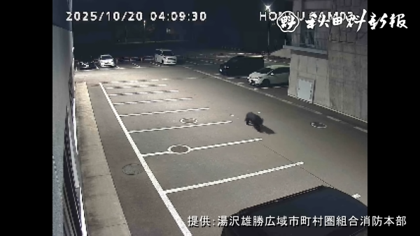 秋田県 庁舎 自動ドア 熊 クマ 侵入 動画 映像に関連した画像-02