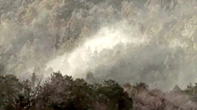 花粉 花粉症 飛散 飛散量 スギ花粉 大量 グラフに関連した画像-06