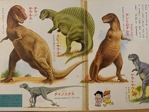 トカゲ ワニ 恐竜 T-REX 歯 牙 研究 骨格に関連した画像-02