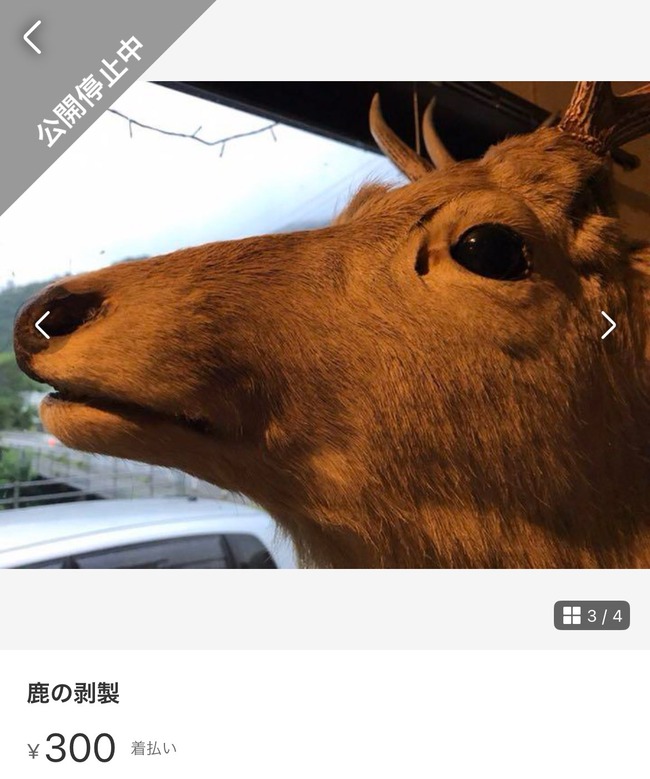 ���礴�ߡ���륫�ꡡ����ƥ�������ʬ�������˴�Ϣ��������-04