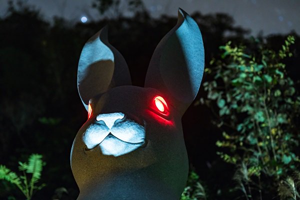 お寺 ウサギ 観音 住職に関連した画像-02