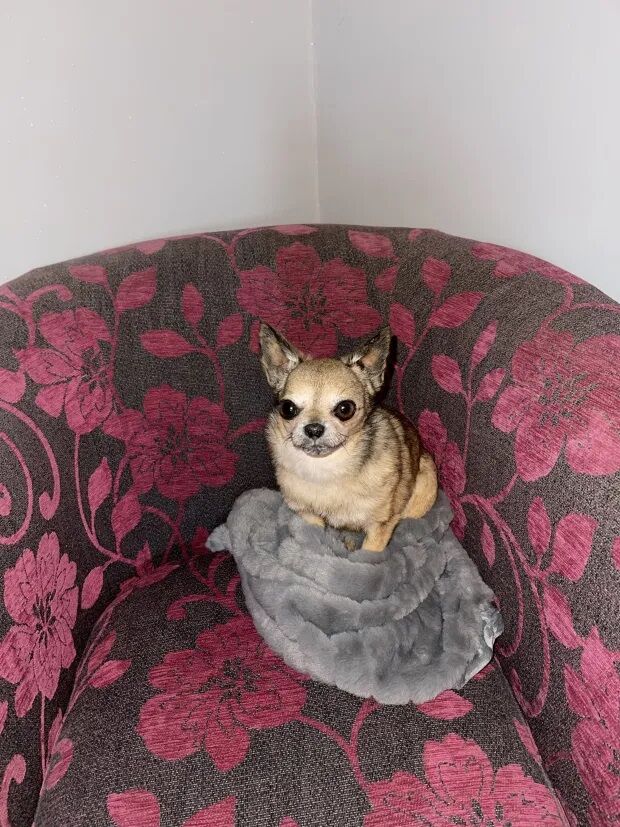 ���� ���� ���� ��˴ ���� �������˴�Ϣ��������-04