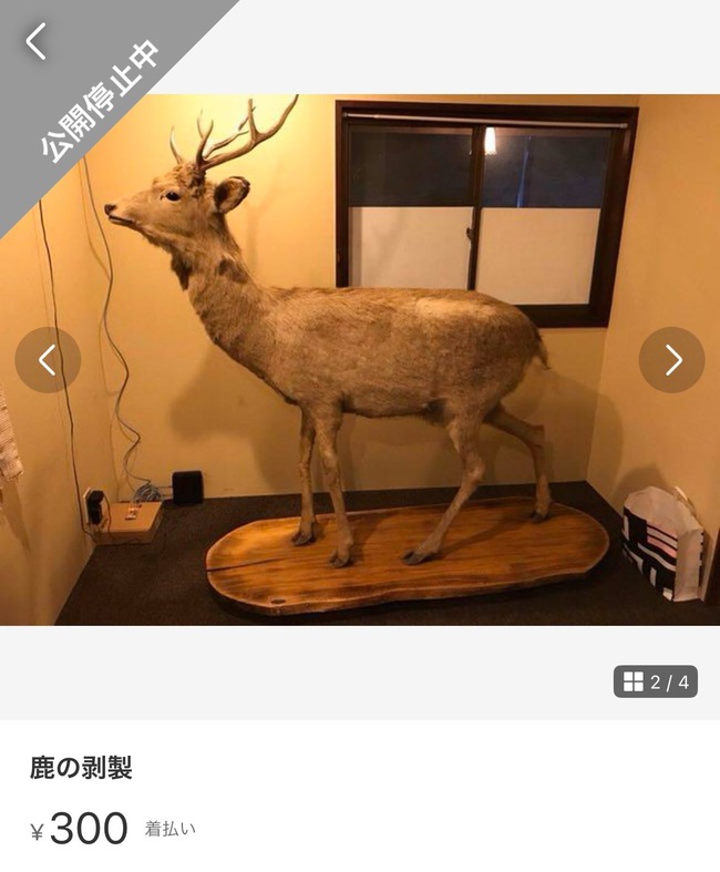 ���礴�ߡ���륫�ꡡ����ƥ�������ʬ�������˴�Ϣ��������-03