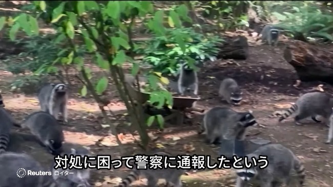 ����ꥫ ���� ���� ���饤���� 35ǯ ���դ� ���� ���� �ٻ� ����˴�Ϣ��������-05