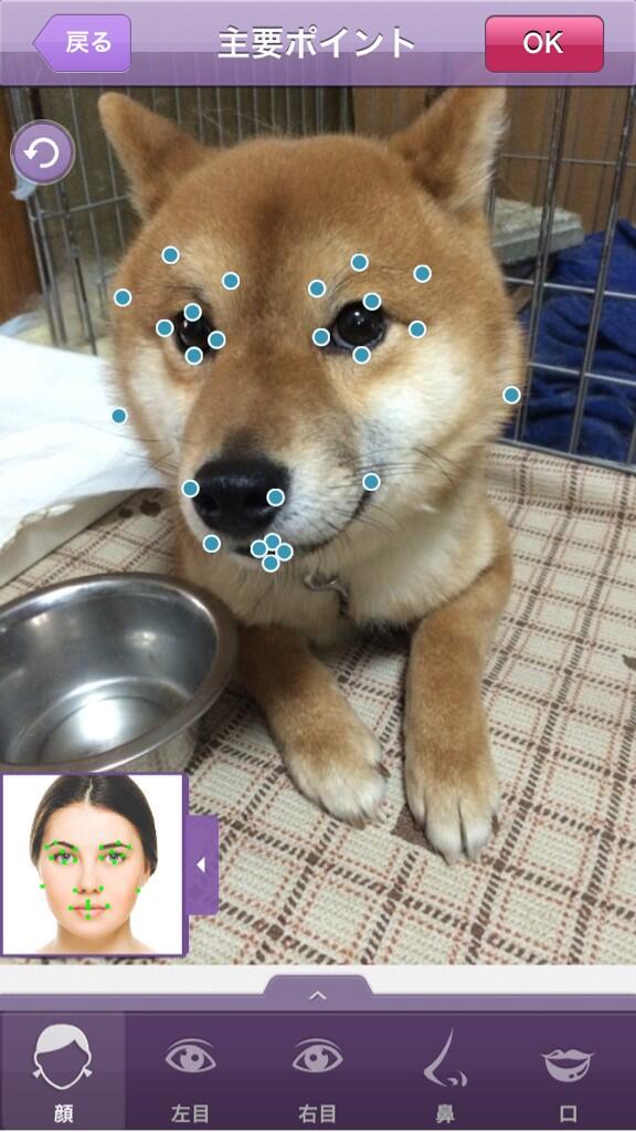 perfect365に関連した画像-02