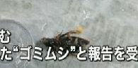 マクドナルド ハンバーガーに関連した画像-06