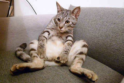 o0480032011189155430