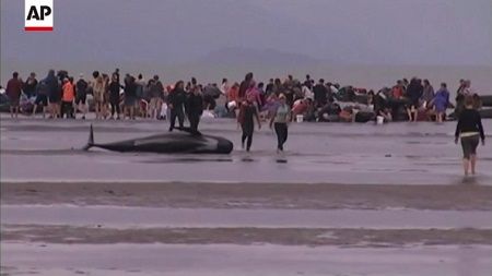 �����顡�¾̤˴�Ϣ��������-01