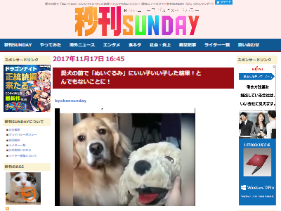 犬　ぬいぐるみ　豹変　嫉妬に関連した画像-02