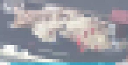 ���Ȥ �ȥ졼�顼 ��� ���Թ� ��®ƻϩ�˴�Ϣ��������-01