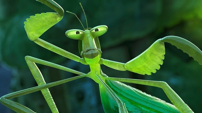 最強 カマキリ 発見に関連した画像-01