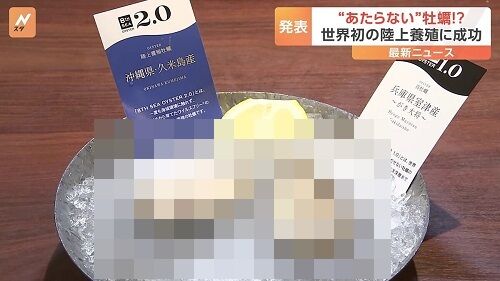 牡蠣　ウイルス　養殖に関連した画像-01