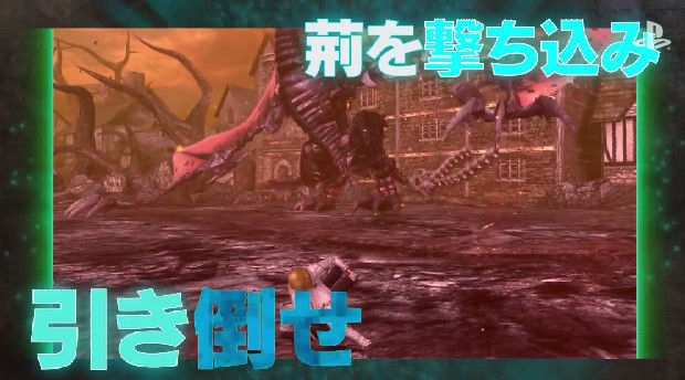 �ե꡼���०�������������륵����ե�����������ܤ˴�Ϣ��������-06