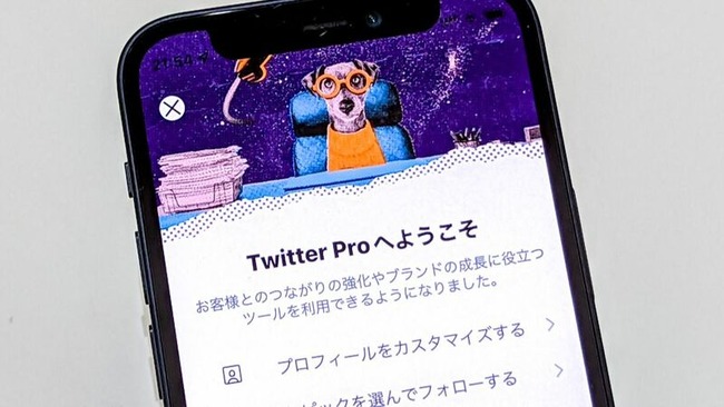 ツイッター TwitterPro アイコン 凍結 BAN 注意に関連した画像-01