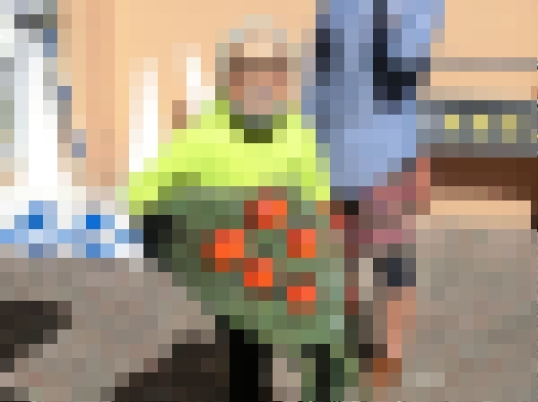 a1