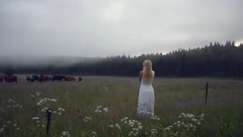 キュールニング 牛 交尾に関連した画像-02