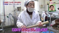 ガン 免疫療法 アポトーシス 半殺し DNA マサチューセッツ工科大学 アメリカに関連した画像-03