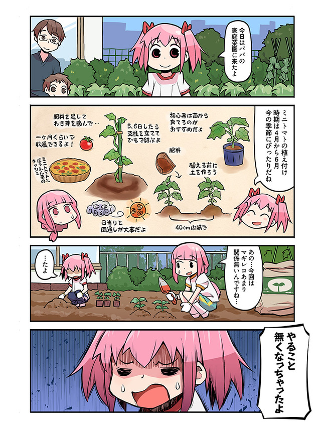 �ޥ����쥳���ɡ����ޥۥ��������Ԥ˴�Ϣ��������-02