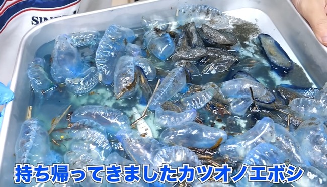 �ۥ⥵�ԡ��桼���塼�С���YouTuber�����ǥ��饲�����ĥ��Υ��ܥ����н��˴�Ϣ��������-06