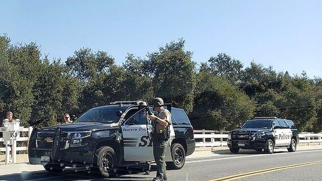 警察 解体 女性 活動家 武装 エアガン アリッサ・ミラノに関連した画像-03