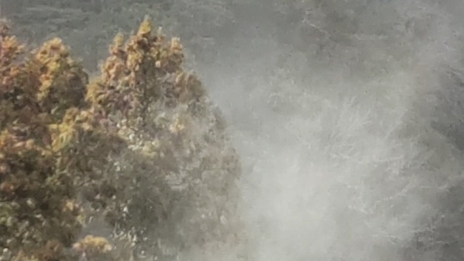 花粉 花粉症 飛散 飛散量 スギ花粉 大量 グラフに関連した画像-07