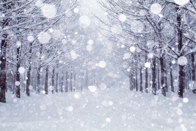 石川県　能登半島　地震　天候　大雪　災害　積雪　七尾　輪島　金沢に関連した画像-01