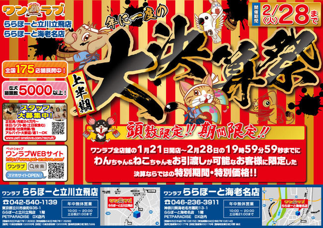 ڥåȥå  ǭ  軻   饷 ʬ˴Ϣ-03