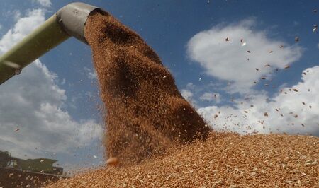 小麦　インド　過去最高　生産　値上げに関連した画像-01