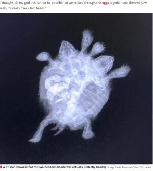 ���ᡡ��������¡���ͭ�˴�Ϣ��������-03