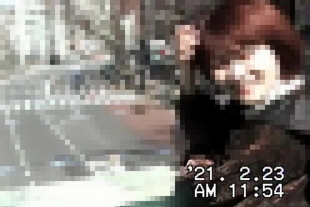 ¥Ç¥¸¥¿¥ë¥Ó¥Ç¥ª¥«¥á¥é¡¡»×¤¤½Ð¤Ë´ØÏ¢¤·¤¿²èÁü-01