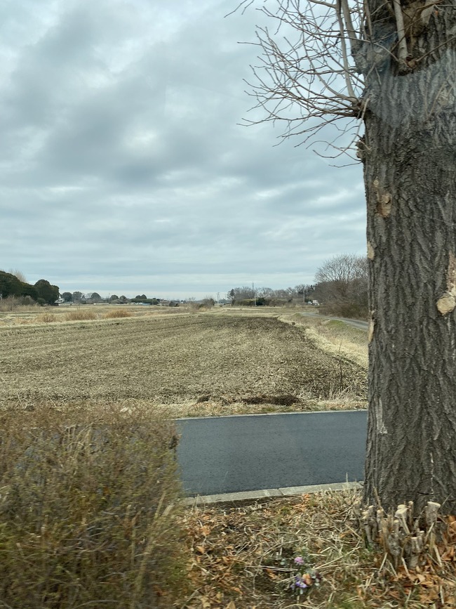 �Ȥ�����Ѥζؽ���Ͽ������ǥå������Ȥ���ʳؤ�Ķ�ż�ˤ���졼�륬�󡡳ر��Իԡ����ȸ���ر��Իԡ�����åס����¤˴�Ϣ��������-03