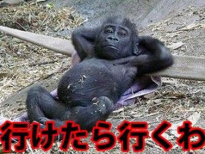 �Ԥ�����Ԥ��˴�Ϣ��������-01