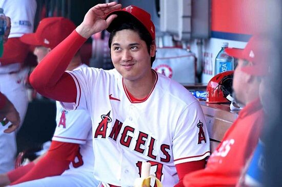 大谷翔平 岡本和真 テクニック パワー 野球に関連した画像-01