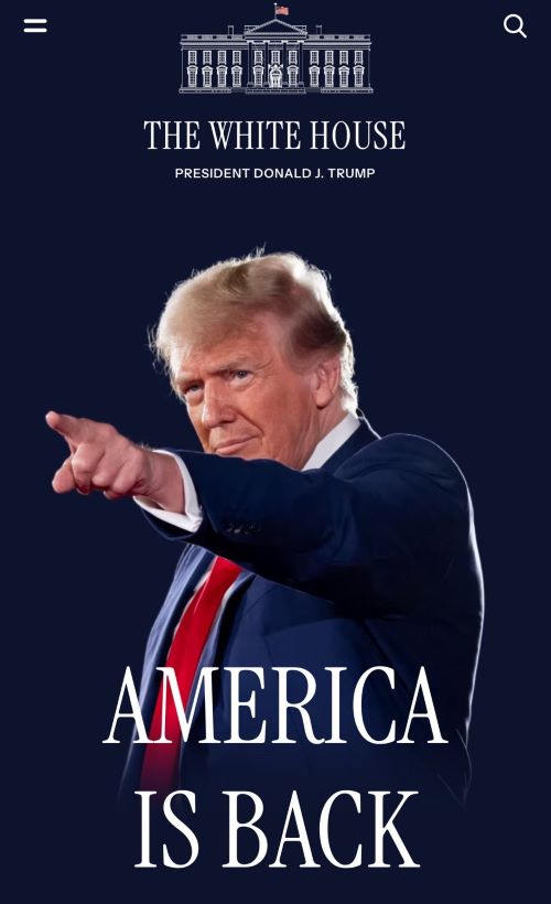 �ȥ��������Ρ�������ġ���Լ��ꡡ���������̡��ۥ磻�ȥϥ�����JAPANISBACK�˴�Ϣ��������-03