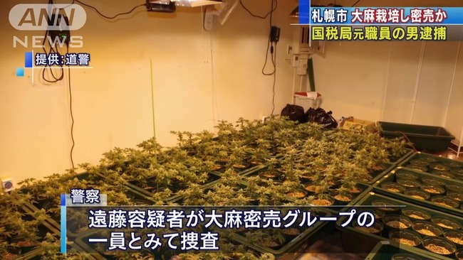 �����ǿ��� ����̩�� ���ݤ˴�Ϣ��������-07