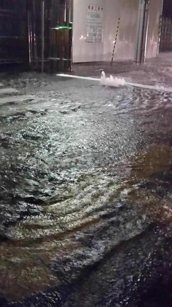 桡籫ܾ븩̡񴫹ԡ˴Ϣ-05