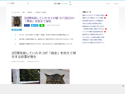行方不明猫借金帰宅に関連した画像-02