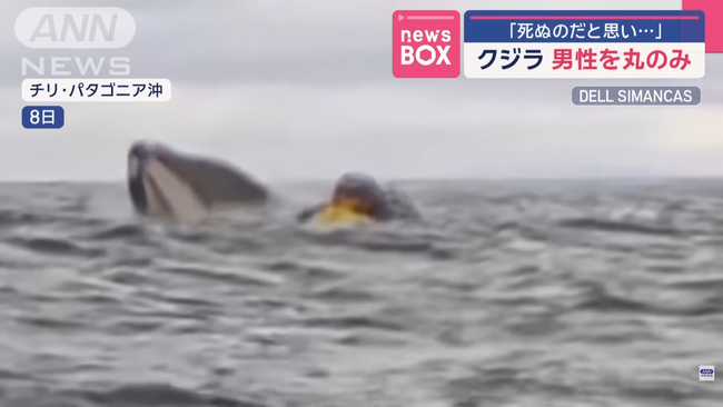 �����顡��ƻ����������������å����ܡ��ȡ����ꡡ�ѥ����˥��˴�Ϣ��������-03