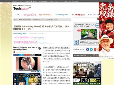 蟻 耳に関連した画像-02