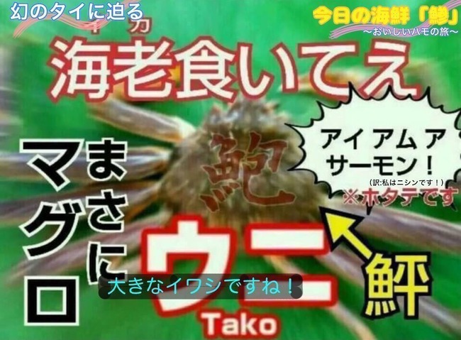 サメ 肉 わに ねずみ ネズミザメ 方言 広島に関連した画像-03