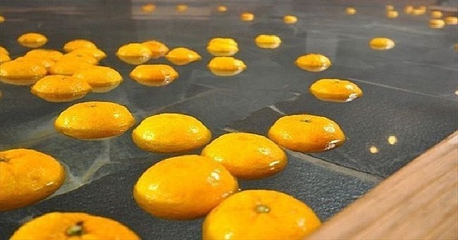 ゆず湯　柚子風呂　銭湯　温泉　男湯　迷惑行為に関連した画像-01