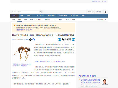 ҥꡡ⡡ƥʡʪʼ˴Ϣ-02