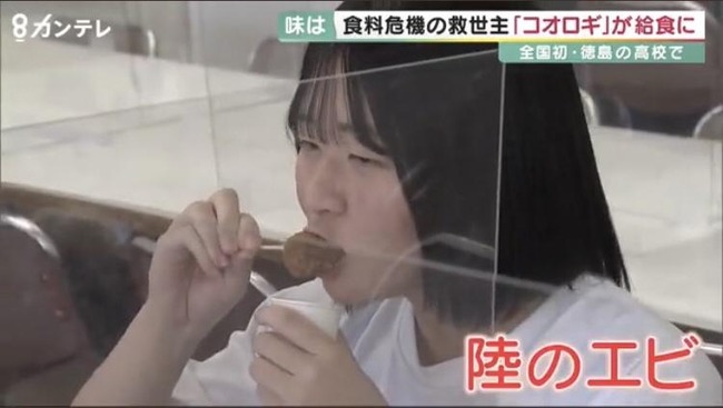 コオロギ 陸のエビ マスコミ ゴリ押しに関連した画像-03