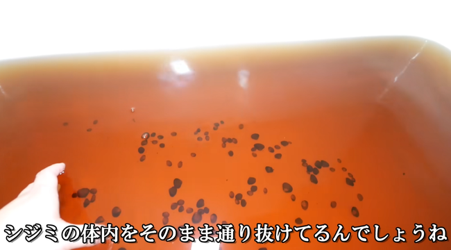 �����ᵪ�������ߡ�100ɤ���ޥ���������ޡ������������72���֡����ڡ��������ɥ֤˴�Ϣ��������-17