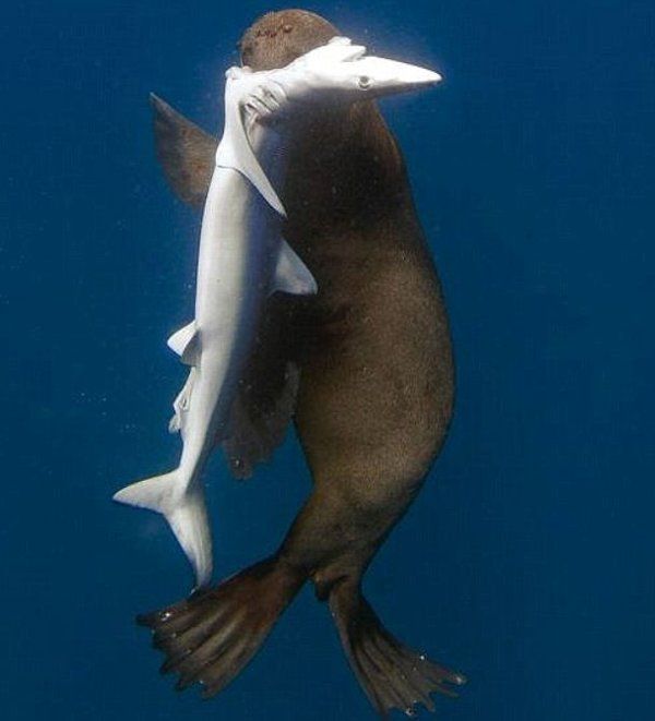 ���åȥ��������ᡡ�����˴�Ϣ��������-03