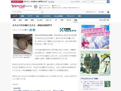 �ۤä��ꡡ�Ļ���ϥ����㡡Ļ�˴�Ϣ��������-02