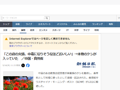 ��񡡲��顡�顡�������������Ф����ޡ��Ⱥᡡ����˴�Ϣ��������-02