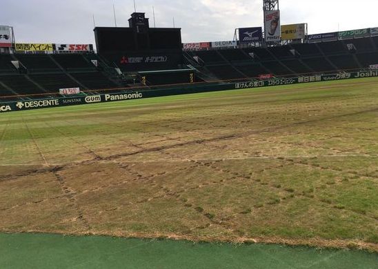 声優 水樹奈々さんが甲子園ライブでの芝生の大規模被害を謝罪 オレ的ゲーム速報 刃 声優 水樹奈々さんが甲子園ライブでの芝生の大規模被害を謝罪 オレ的ゲーム速報 刃