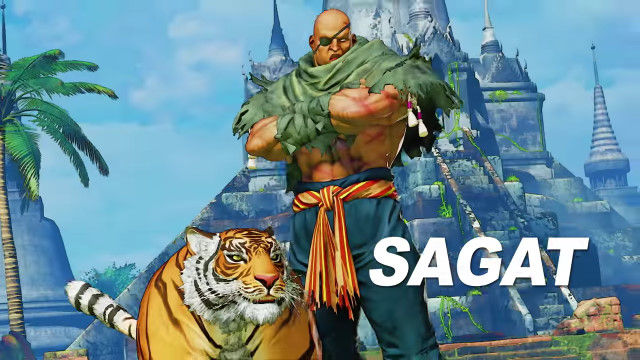 ストVGサガットに関連した画像-05