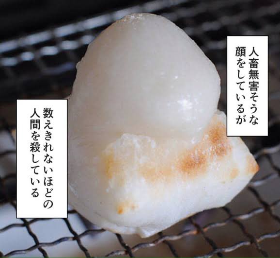 �Ҥ��椭 ���� ������ �Ƕ���ʪ ���մ��� �ߤ˴�Ϣ��������-03